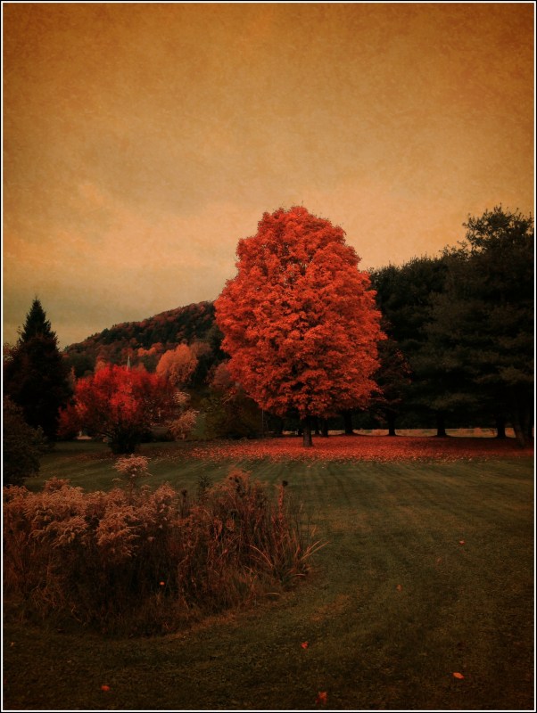 Fall, Thetford Vt by Dena T Bray for Sewn in Vermont©