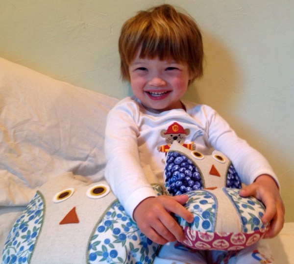 blueberry boy and owls, Sewn in Vermont©sharongcomeau 2014